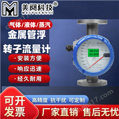 金屬管浮子流量計(jì)
