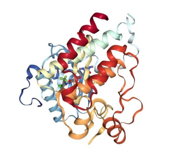 13N-NH3.H2O核素分子探針|分子靶點(diǎn)