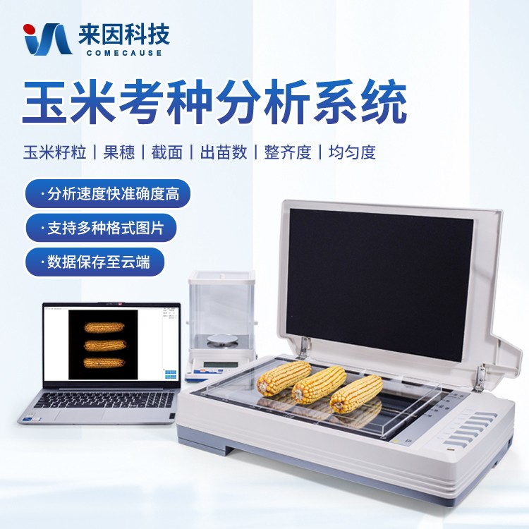 自动玉米考种分析仪：重塑种子检测流程的智能变革