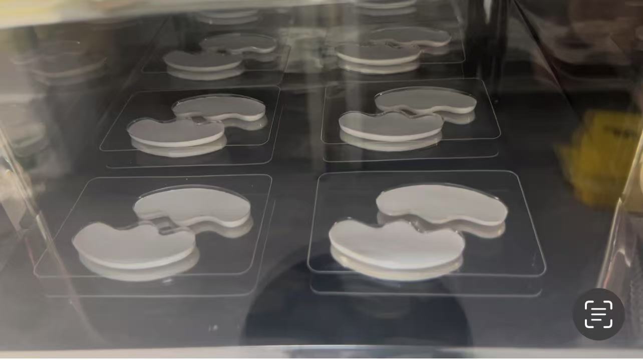 化妝品眼膜凍干工藝開發方案