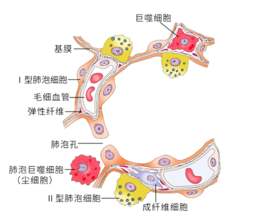 圖片2.png