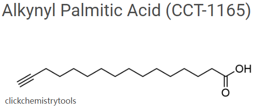 Clickchemistrytools炔基棕櫚酸Alkynyl Palmitic Acid
