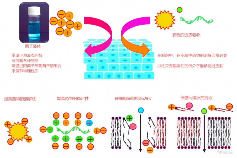 image.png 離子液體:經(jīng)皮給藥的“破局者