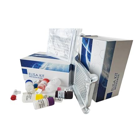 1.jpg 上海研域生物預(yù)備雙十一購(gòu)ELISA試劑盒活動(dòng)重磅來(lái)襲