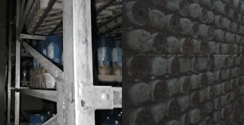 高溫?高濕?腐蝕?這款CO?變送器為何成為行業“隱形守護者”