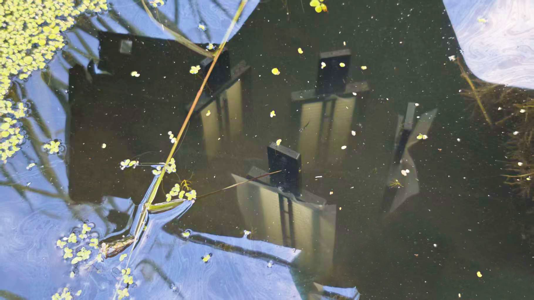 高分辨孔隙水采樣器在土壤/沉積物關鍵參數監測中的應用