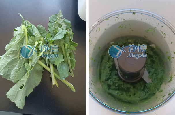 812048161771.jpg 告别油脂氧化与效率低下!净信刀式研磨仪为油菜科研提供高效解决方案