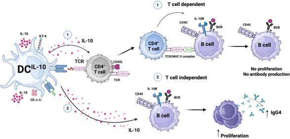 6389957357589044419020090