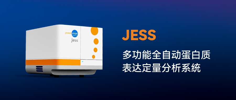00-2.jpg 突破 AD 治療瓶頸:Jess系統助力血腦屏障機制研究與納米療法驗證