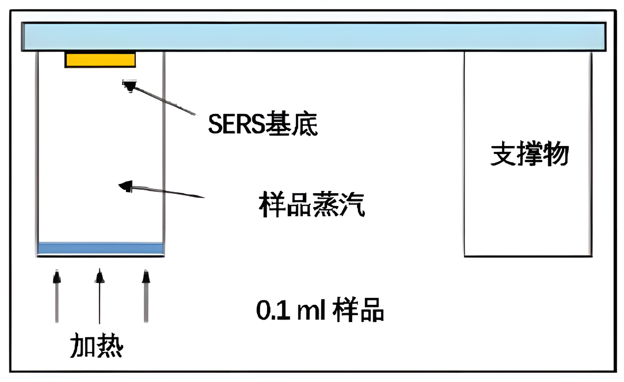 一文讀懂WSER-3 SERS芯片：檢測流程、注意事項全攻略