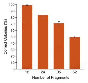 NEB無縫克隆 --同源重組Gibson組裝、Golden Gate 組裝