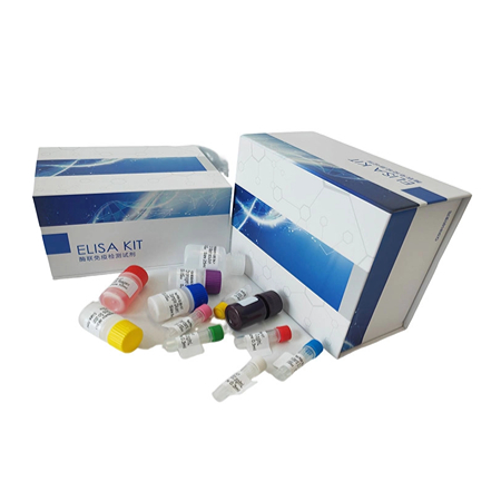 2.jpg 上海研域大鼠Elisa试剂盒活动,惊喜不容错过