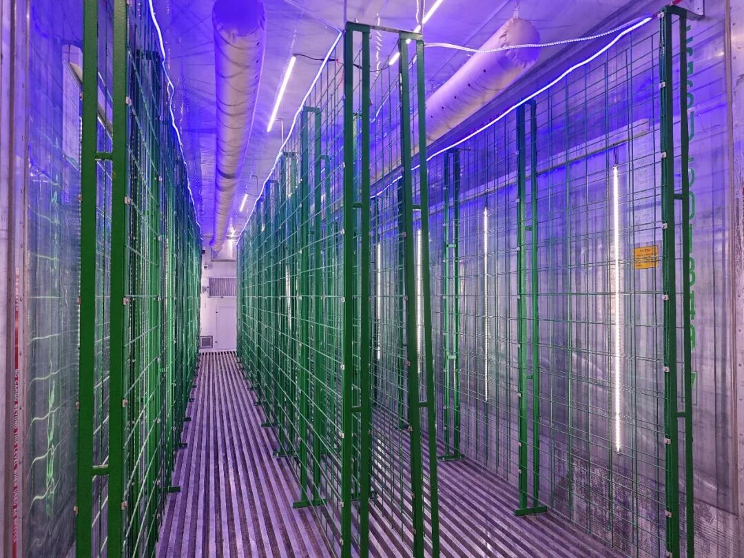 科技赋能 “三农