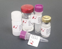 美國Life Diagnostics代理商 2026授權(quán)代理-上海起發(fā)