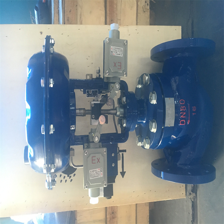 氣動帶定位器調節閥08.jpg 氣動帶定位器調節閥08.jpg