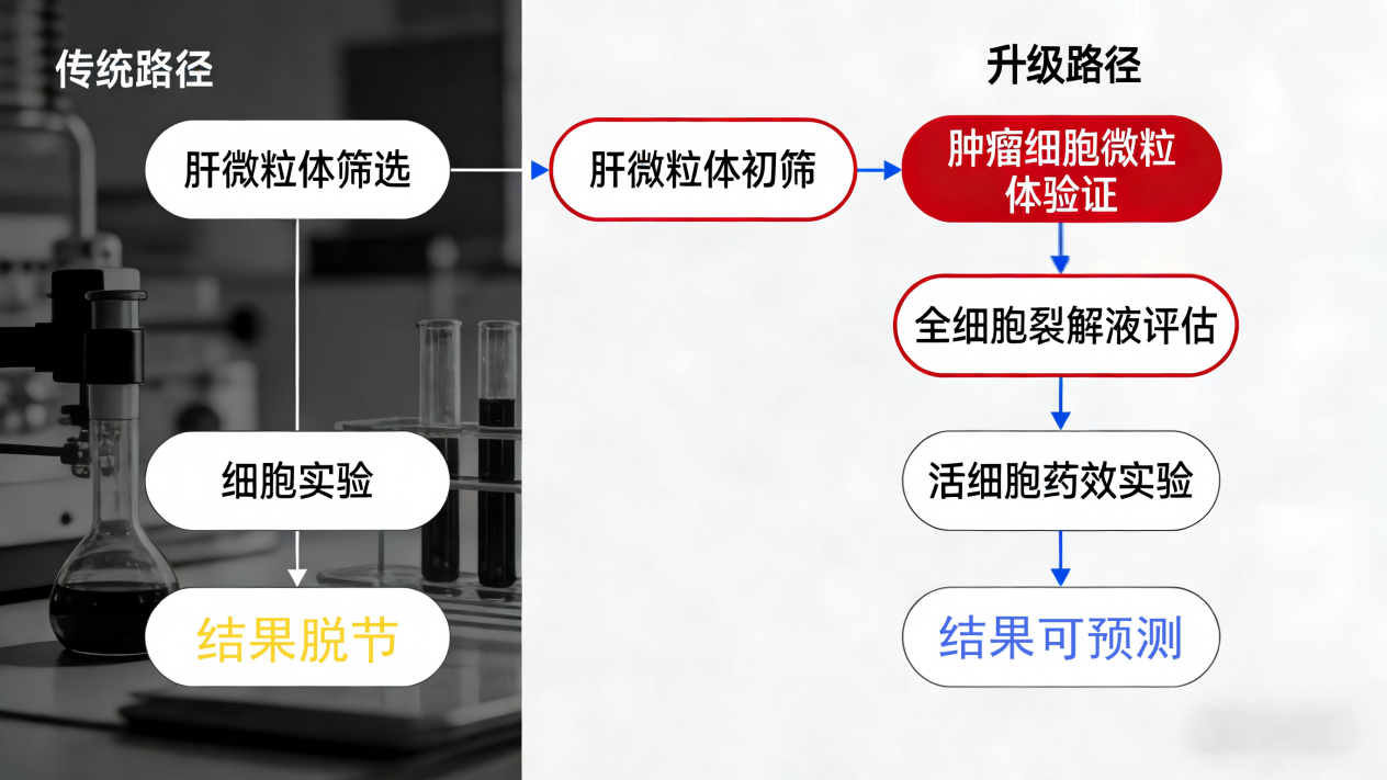 代謝π析（三）——腫瘤細胞微粒體，容易被忽略的代謝戰(zhàn)場