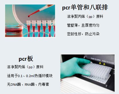 pcr.jpg 8聯管廠家-BUNSEN本生0.2ml帶蓋PCR八聯管