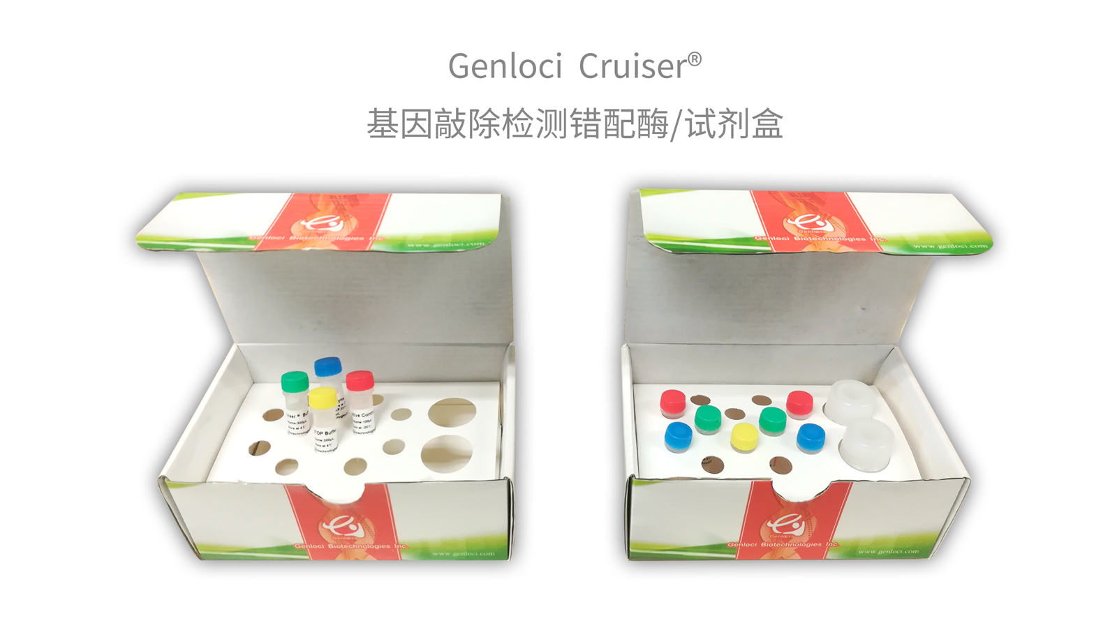 江苏吉锐生物Genloci代理商 2026年授权代理-上海起发