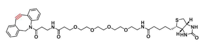 Biotin-PEG4-DBCO，cas：1255942-07-4，生物素-四聚乙二醇-二苯基环辛炔