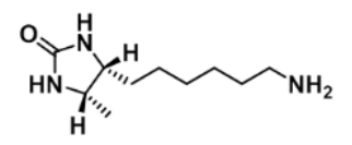 D-Desthiobiotin Amine，D-脱硫生物素-胺的应用