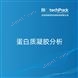 蛋白質(zhì)凝膠分析檢測技術(shù)服務(wù)