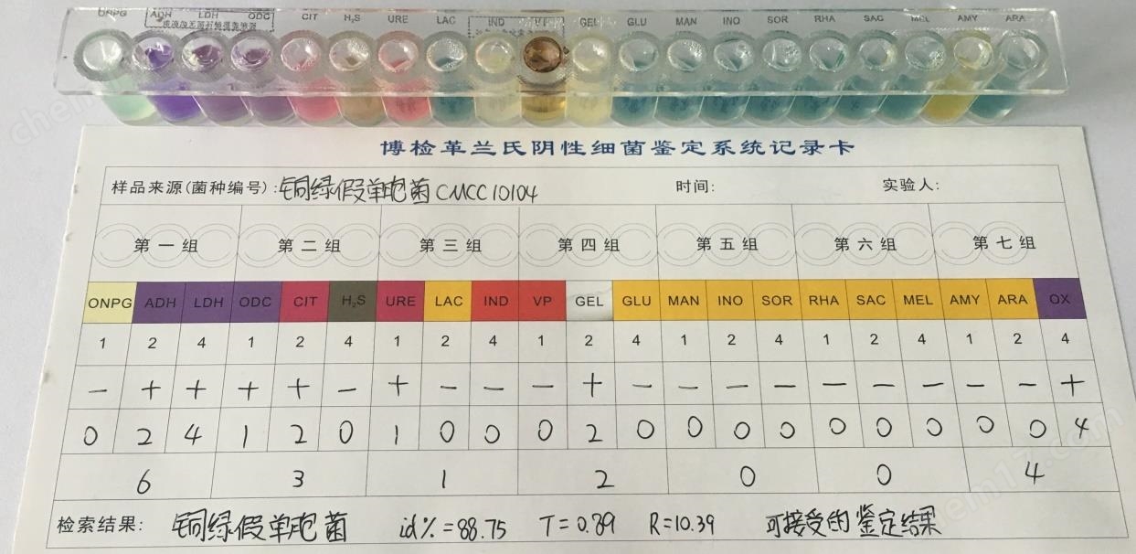 銅綠假單胞菌CMCC(B)10104(定量菌株)