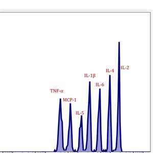 大鼠7细胞因子检测试剂(流式荧光法)