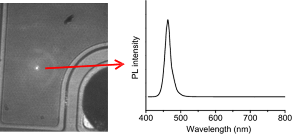 image.png Mini Pro 显微光谱系统