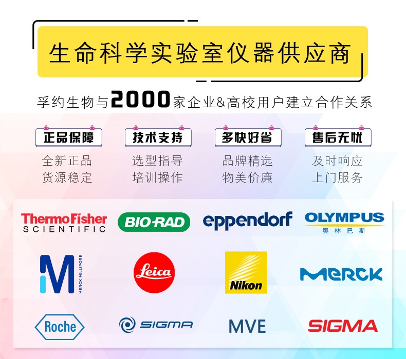 StepOnePlus实时荧光定量PCR系统计算机