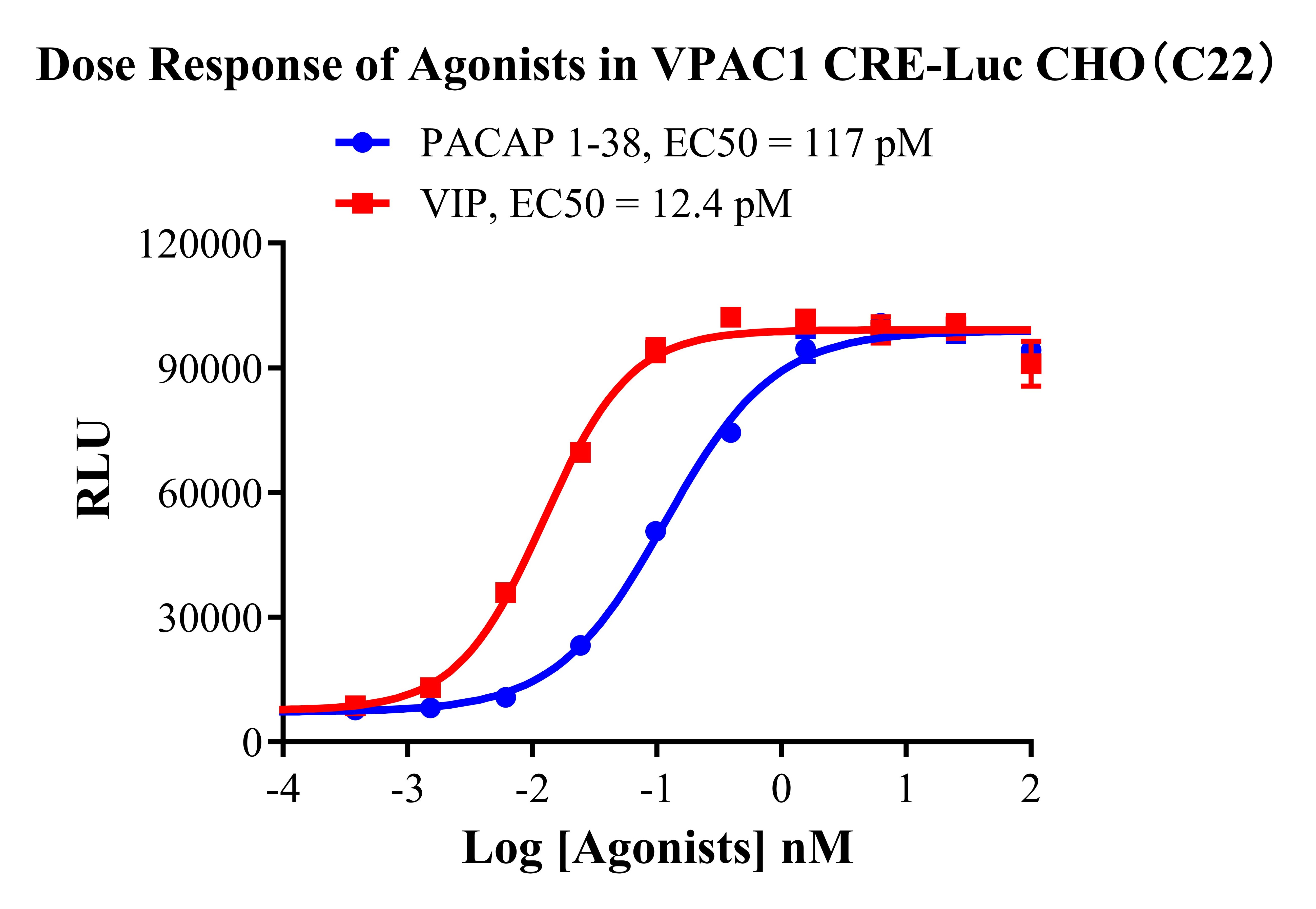 Assay-1-71566.jpg VPAC1 CRE-Luc CHO