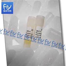 結(jié)核分枝桿菌 ATCC 25177 H37Ra